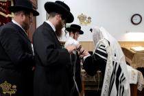 🌴בצל הקודש🌴 
רבינו שליט"א ביים לייגן תפילין פאר בר