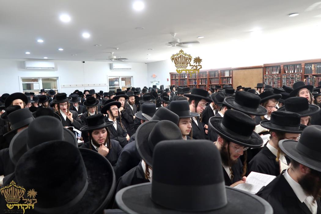 🌴בצל הקודש🌴
רבינו שליט"א ביי תפילת מעריב ליל תשעה 
