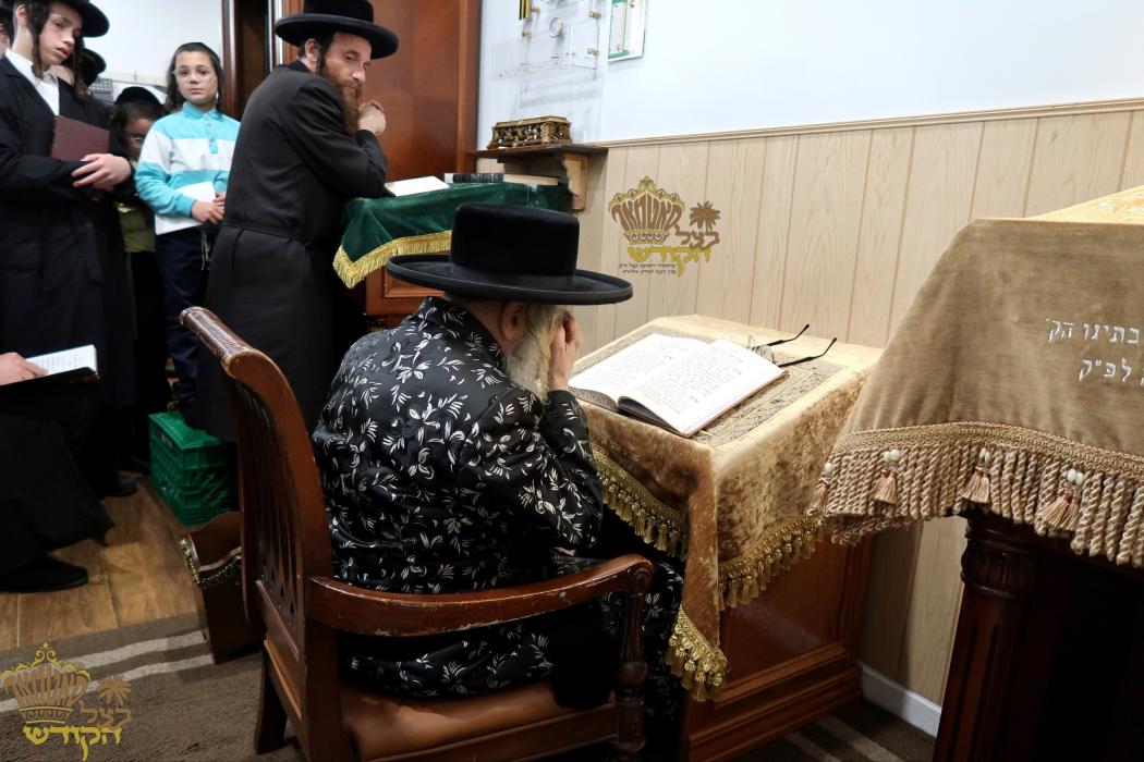 🌴בצל הקודש🌴
רבינו שליט"א ביי תפילת מעריב ליל תשעה 