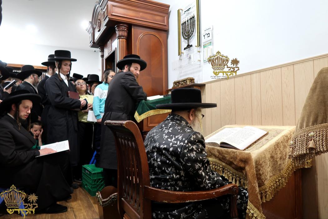 🌴בצל הקודש🌴
רבינו שליט"א ביי תפילת מעריב ליל תשעה 