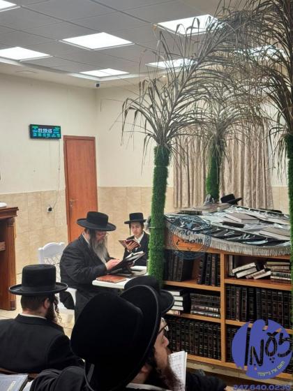 פתח תקווה - האדמו"ר מבישטינא ביים זאגן מגילת איכה 
