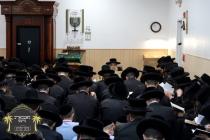כ''ק רבינו הגה''ק שליט''א ביי קריאת מגילת איכה איכ
