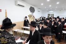 🌴בצל הקודש🌴
תלמידי כתה מכינה לישיבה שע''י קהילות ג