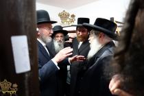 🌴בצל הקודש🌴 
רבינו שליט"א ביים זיך אומקוקן אויף די