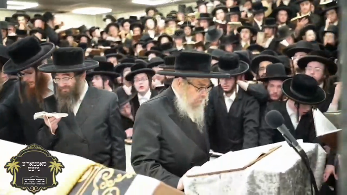יומא דהילולא קדישא של רביה''ק זיע"א כ"ו מנחם אב, ב