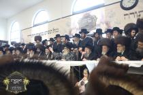 שמחת הכנסת ספר תורה אריינגעגעבן געווארן אין קרית ו