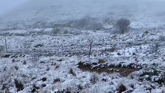 א גאר זעלטענער שניי און קעלט האט זיך אראפגעלאזט אי