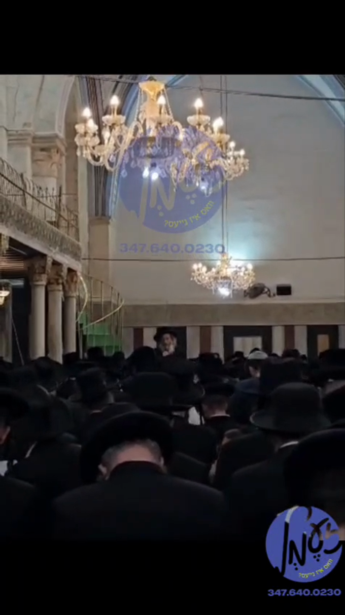 חברון - טויזנטער אין שפיץ פון המשפיע הגה"צ רבי אלי