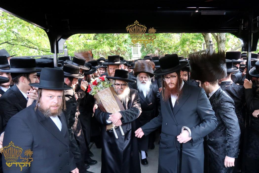 🌴בצל הקודש🌴
רבינו שליט''א ביים ארויספירן די ספר תו