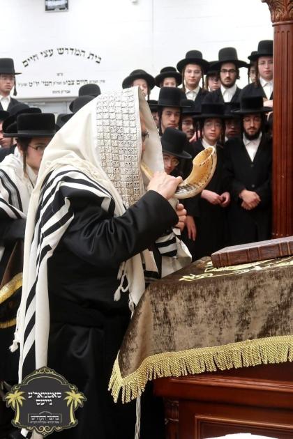 כ''ק רבינו הגה''ק שליט"א ביי תפילת שחרית והלל, בלא