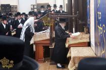 🌴בצל הקודש🌴 
רבינו שליט"א ביי אמירת יום כיפור קטן 