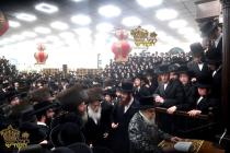 🌴בצל הקודש🌴
רבינו שליט''א ביים הכנסת ספר תורה בהיכ