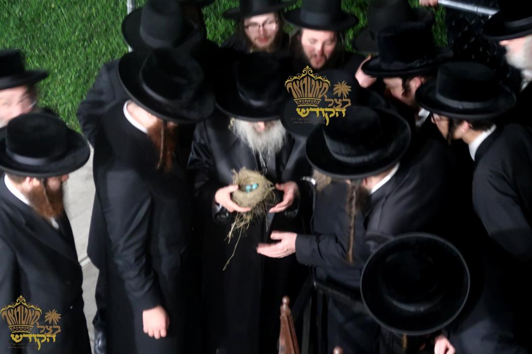 🌴בצל הקודש🌴 
רבינו שליט"א ביים מקיים זיין מצות שיל