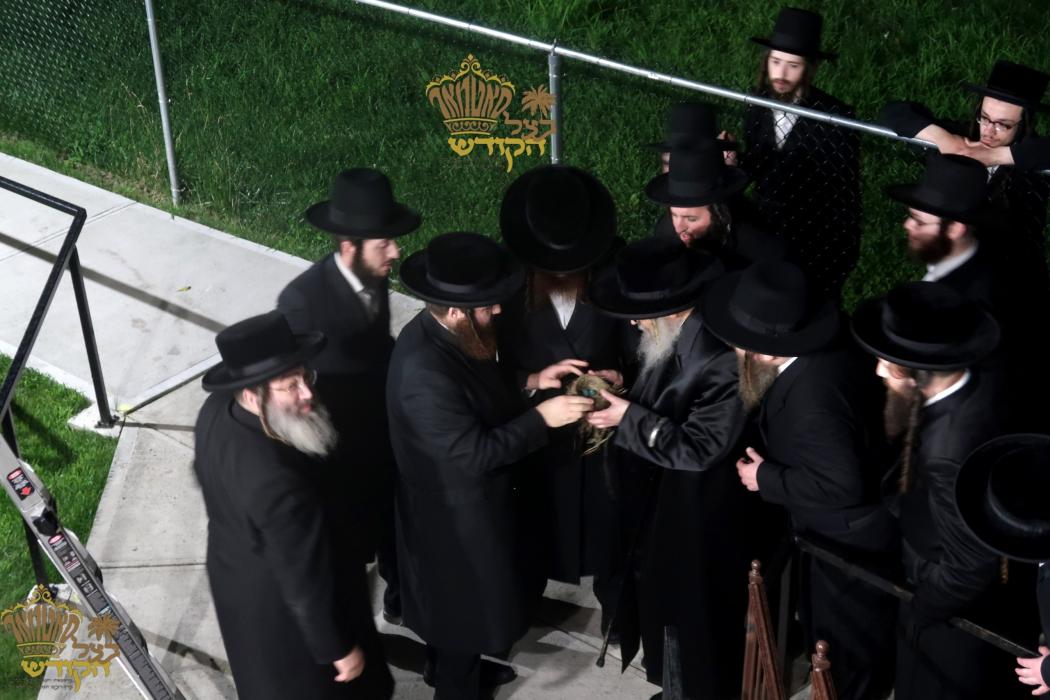 🌴בצל הקודש🌴 
רבינו שליט"א ביים מקיים זיין מצות שיל