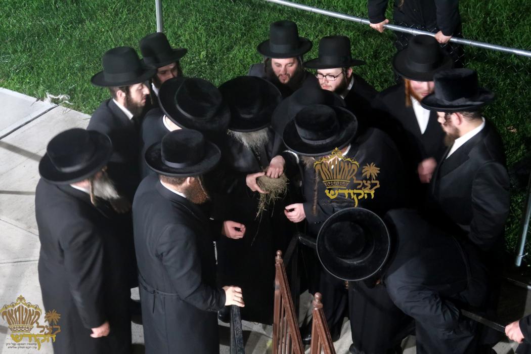 🌴בצל הקודש🌴 
רבינו שליט"א ביים מקיים זיין מצות שיל