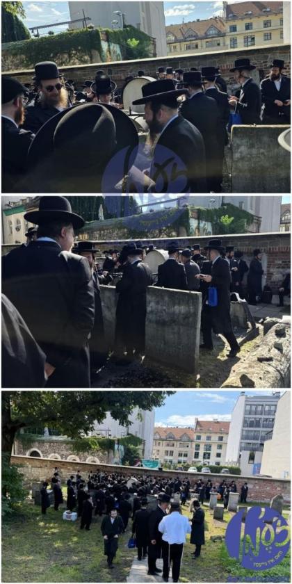 קראקא - הונדערטער היינט ביים זיך שופך שיח זיין אוי