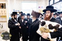 כ''ק רבינו הגה''ק שליט"א ביים זיך אומקוקן אויף די 