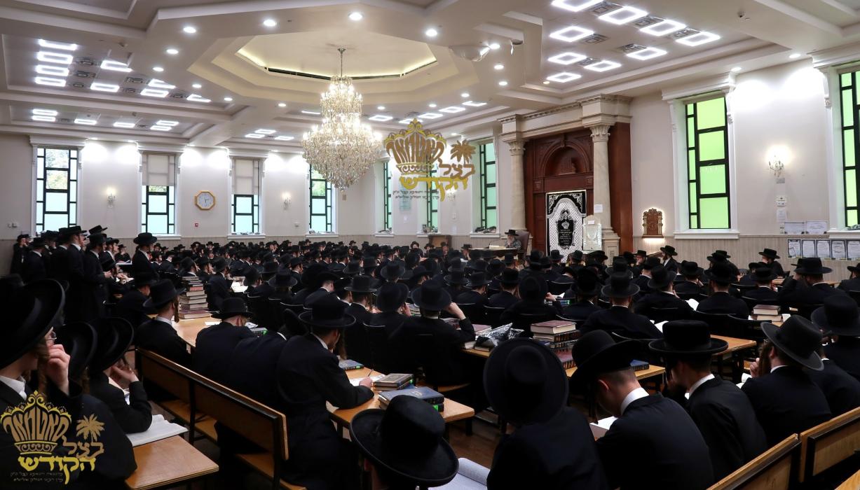 🌴בצל הקודש🌴 
רבינו שליט"א ביים פארלערנען די ערשטע 