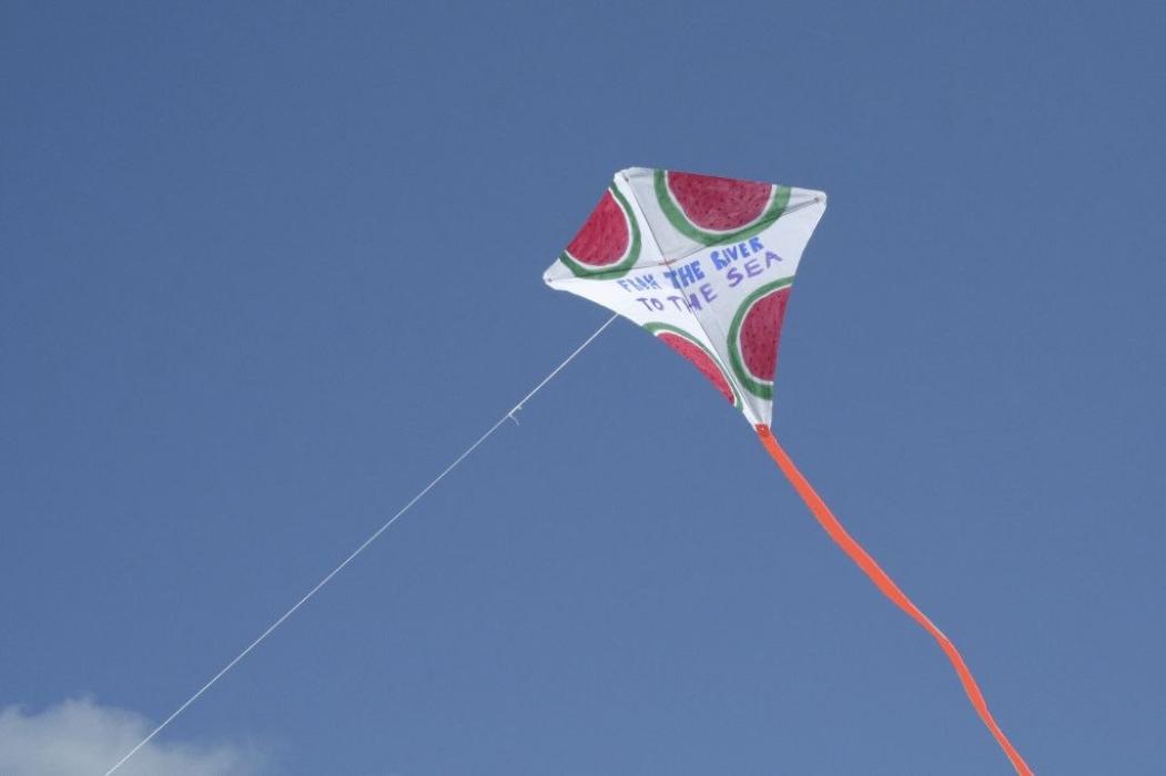 מדינת ישראל האט פארארדנט א דריי טאגיגער אולטימאטום