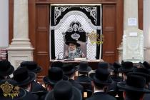 🌴בצל הקודש🌴 
רבינו שליט"א ביים פארלערנען די ערשטע 
