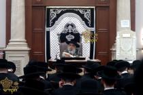🌴בצל הקודש🌴 
רבינו שליט"א ביים פארלערנען די ערשטע 