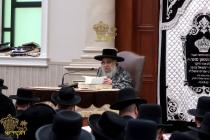 🌴בצל הקודש🌴 
רבינו שליט"א ביים פארלערנען די ערשטע 