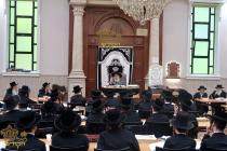 🌴בצל הקודש🌴 
רבינו שליט"א ביים פארלערנען די סוגיא 