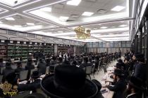 🌴בצל הקודש🌴 
רבינו שליט"א ביים פארלערנען א סוגיא ש