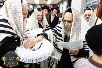 כ''ק רבינו הגה''ק שליט''א ביים ברית מילה פון נכד א
