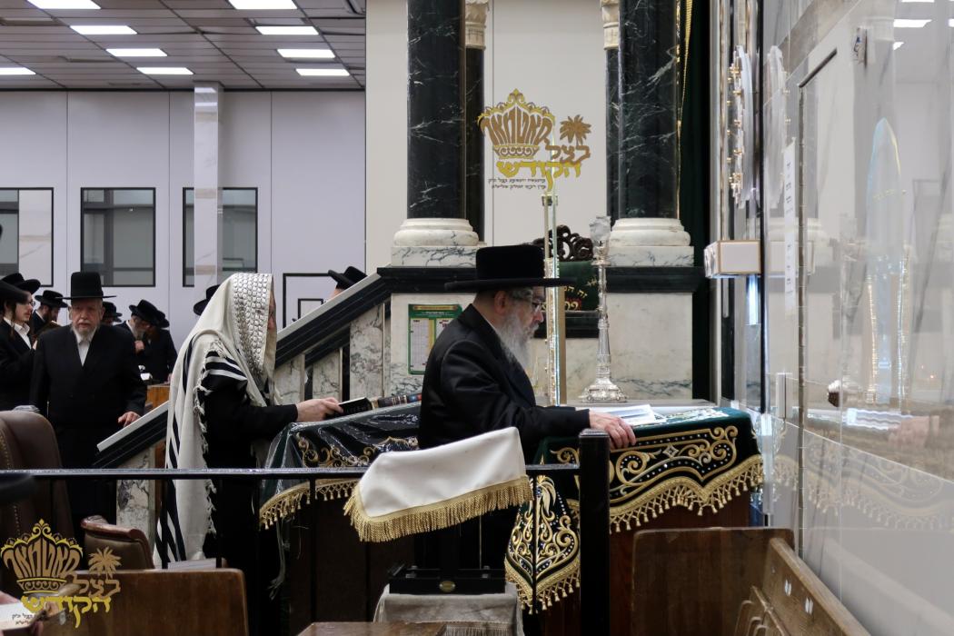 🌴בצל הקודש🌴 
רבינו שליט''א ביי אמירת סליחות היינט 