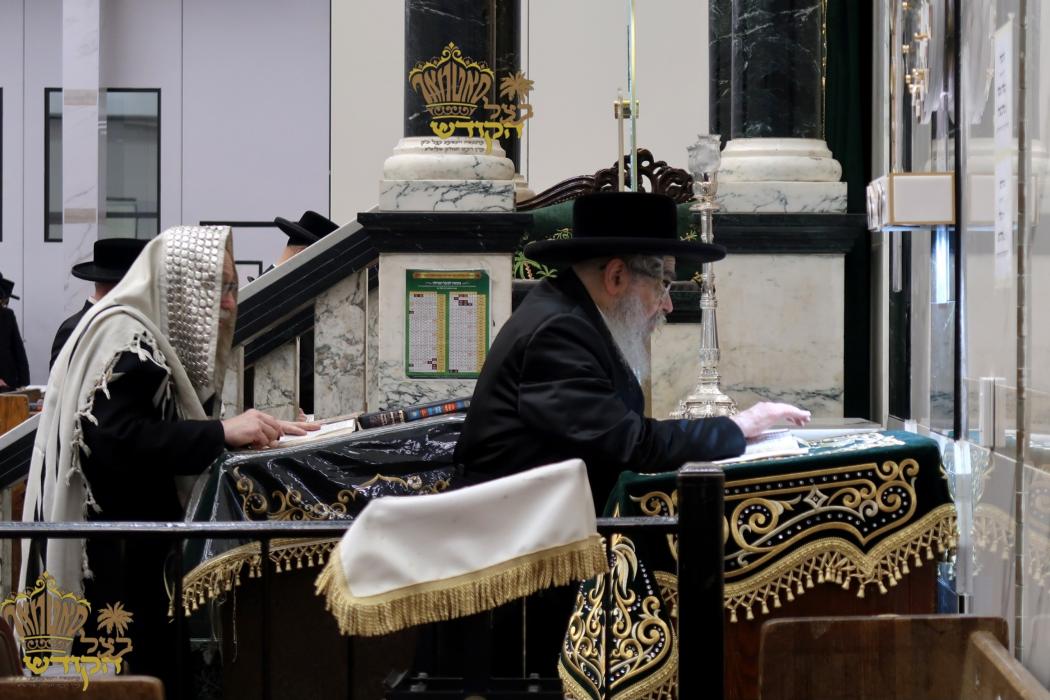 🌴בצל הקודש🌴 
רבינו שליט''א ביי אמירת סליחות היינט 