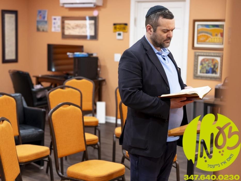 וואשינגטאן - די 'או-יו' ארגאניזאציע האט אריינגעגעב