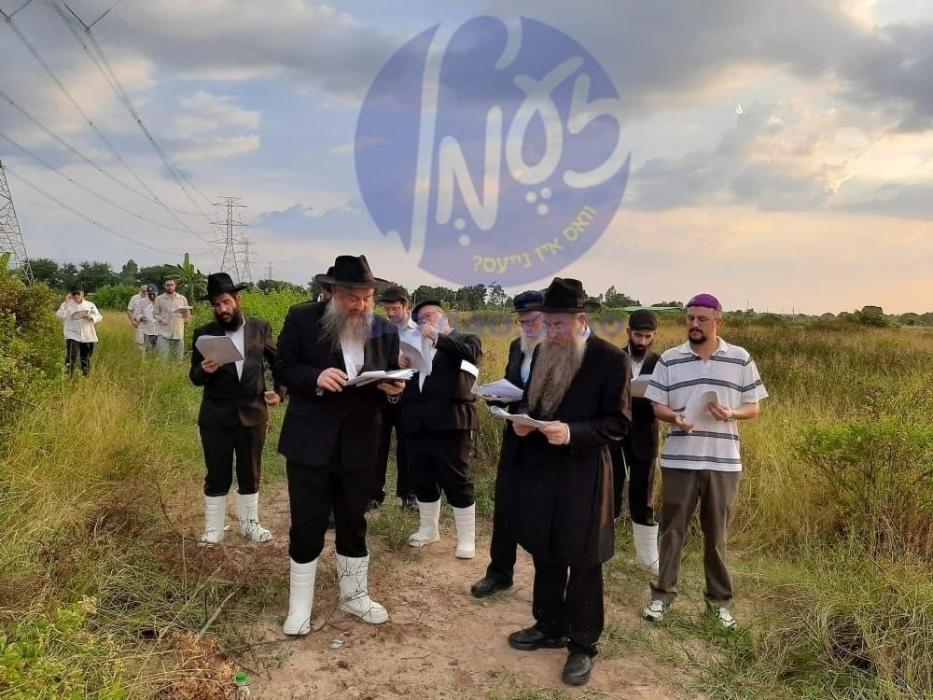 טיילאנד - דער דעפיוטי אינערן מיניסטער פאלאפי סואוו