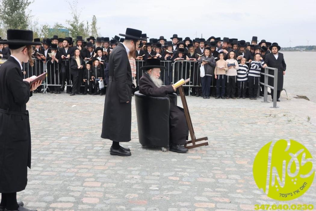 אנטווערפן - זקן אדמור"י אייראפע האדמו"ר מפשעווארסק