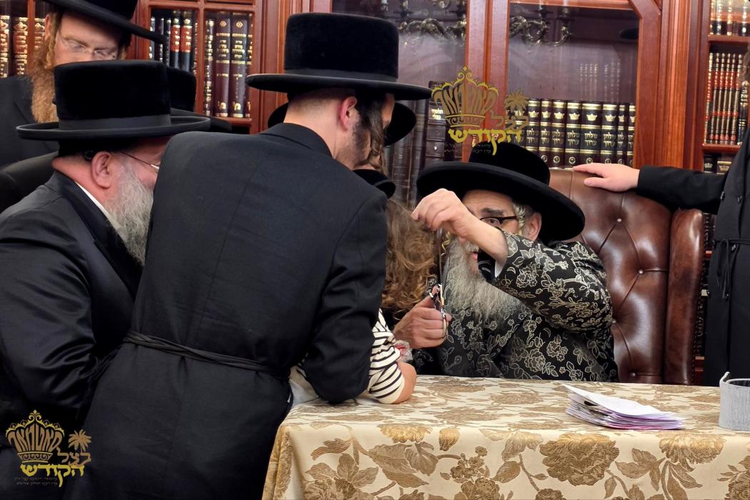 🌴בצל הקודש🌴
רבינו שליט"א ביי כתיבת האותיות היינט ב