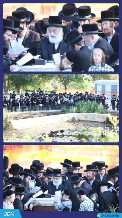 האדמו"ר מוויזניץ פון ירושלים ביי תשליך.