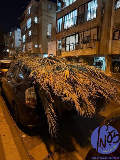 בני ברק - ערב יום טוב סצענעס ווען אידן שלעפן בלעטע