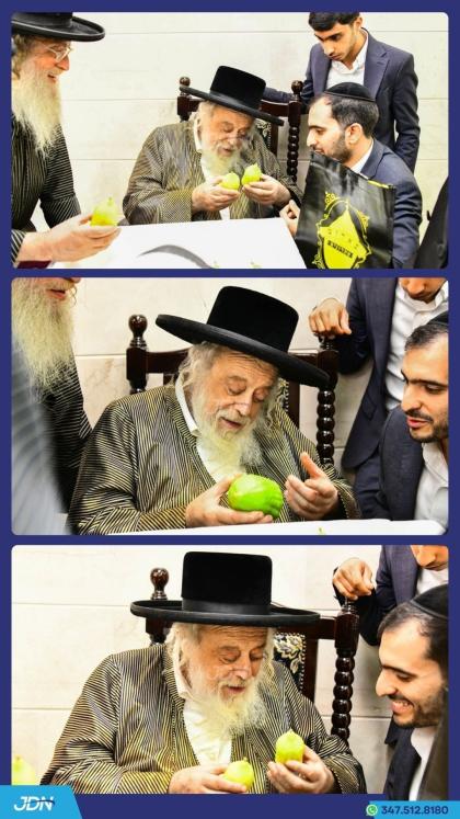 האדמו"ר מתולדות אהרן ביים קלויבן אתרוגים לכבוד יו"