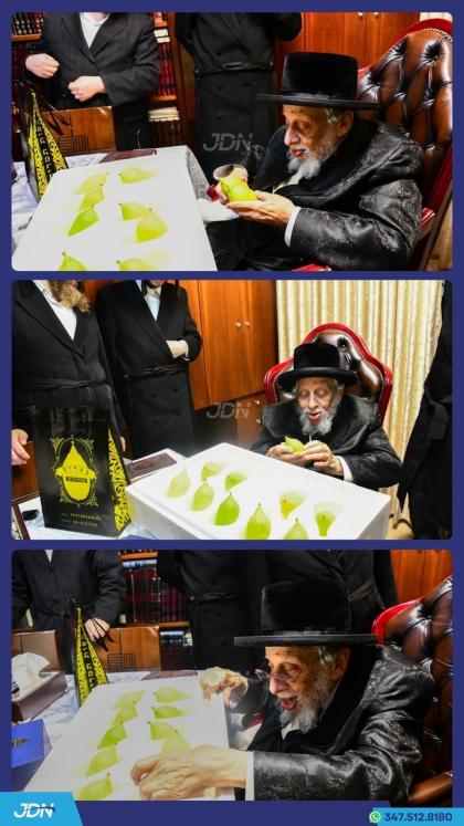 האדמו"ר מקאפיטשניץ ביים קלויבן אתרוגים לכבוד יו"ט 