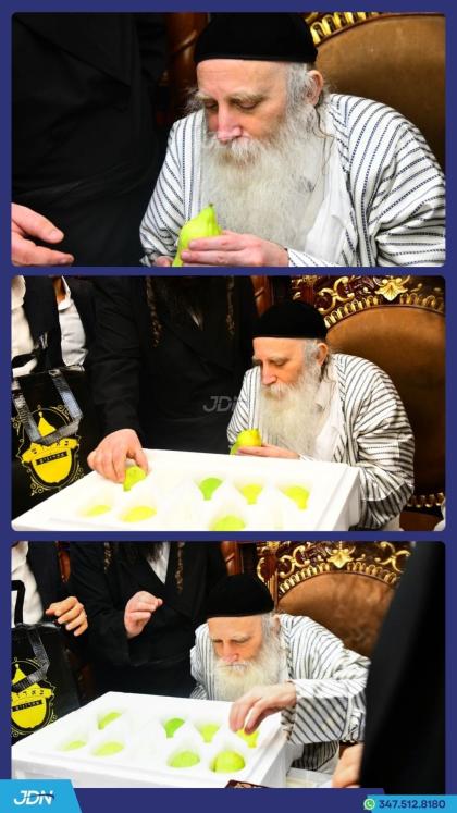 הגה"צ רבי יצחק מאיר מארגענשטערן ביים קלויבן אתרוגי