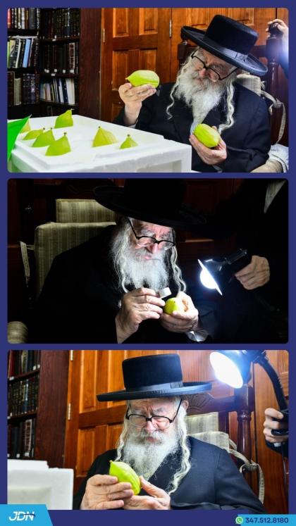 האדמו"ר ממשכנות הרועים ביים קלויבן אתרוגים לכבוד י