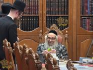 🌴בצל הקודש🌴 
רבינו שליט"א ביים קלויבן אתרוגים לכבו