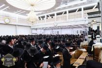 שלש עשרה מדות בצל הקודש פון כ''ק רבינו הגה''ק שליט