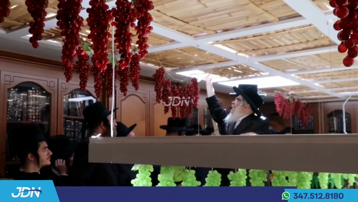 האדמו"ר מסאטמאר ביים לייגן סכך אויפן סוכה בביתו נא