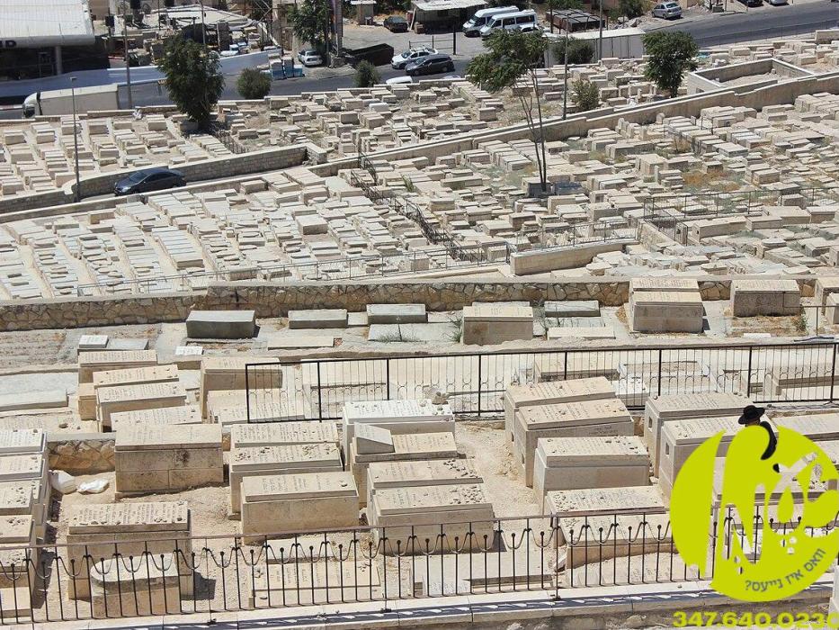 ירושלים - א נייע שטודיע וואס האט אויסגעפרעגט 1,330