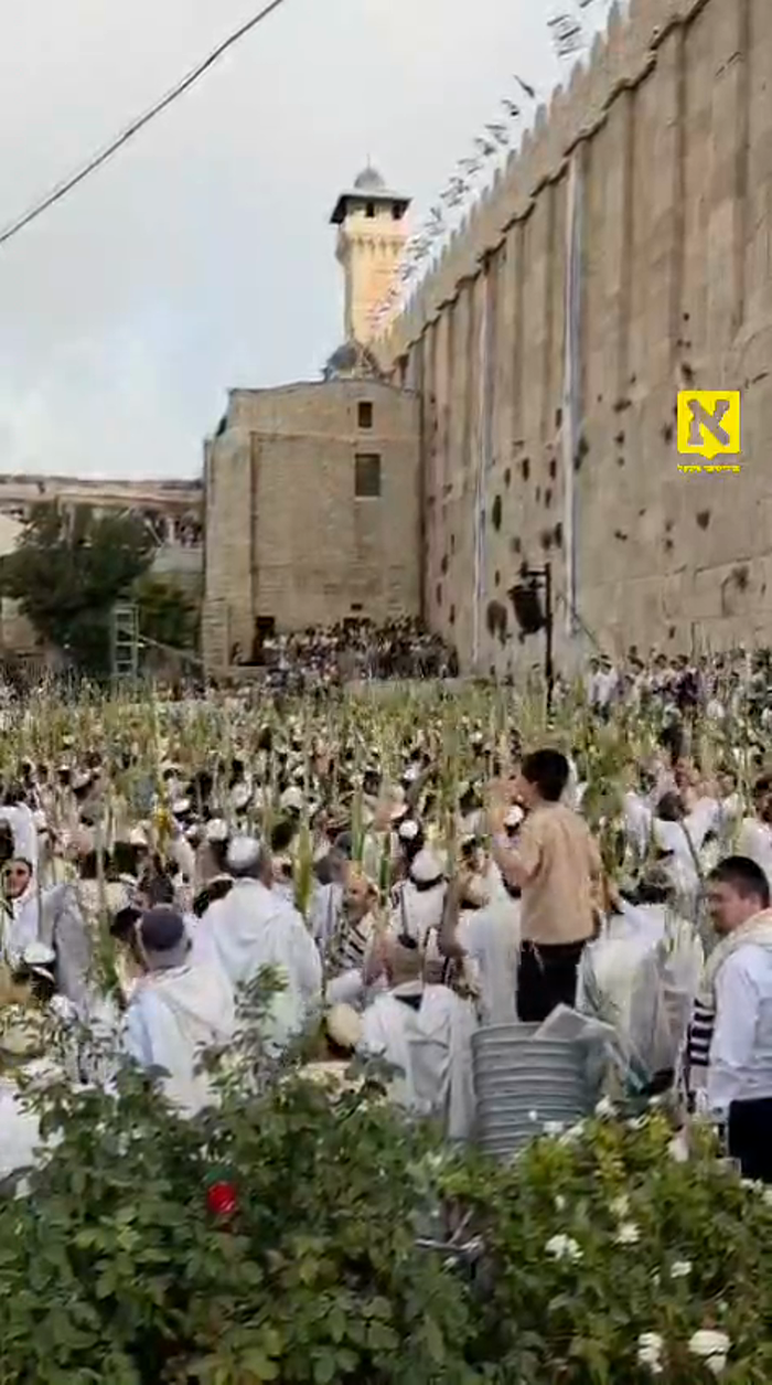טויזענטער אידן דאווענען שחרית חול המועד ביים מערת 