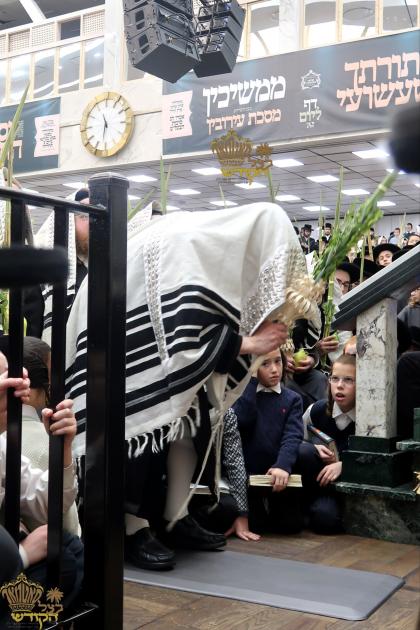 🌴בצל הקודש🌴 
רבינו שליט"א ביים אפרעכטן די עבודת הק