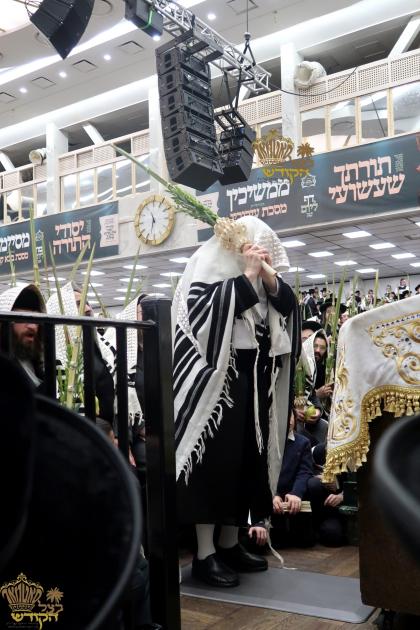 🌴בצל הקודש🌴 
רבינו שליט"א ביים אפרעכטן די עבודת הק