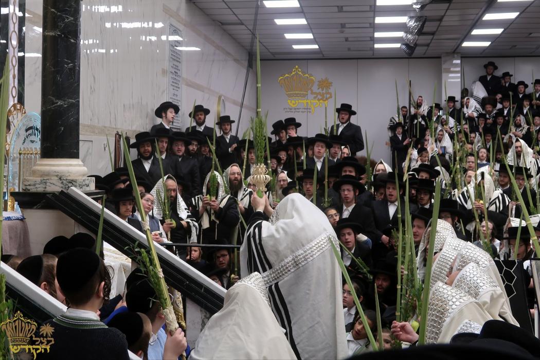 🌴בצל הקודש🌴 
רבינו שליט"א ביים אפרעכטן די עבודת הק