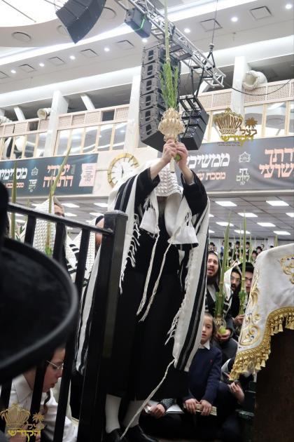 🌴בצל הקודש🌴 
רבינו שליט"א ביים אפרעכטן די עבודת הק